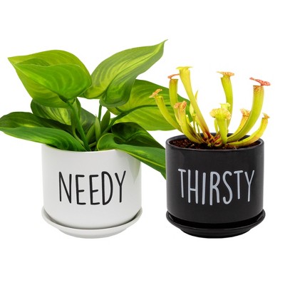 Esterno Needy and Thirsty Planter Pots, 2pc Set; Ceramic Funny Indoor Container Gardening Pots