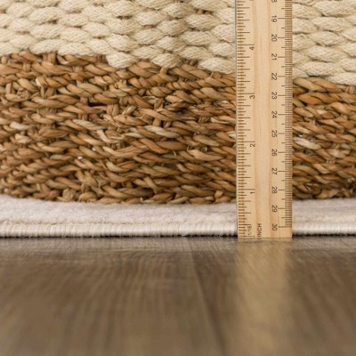 Manteca Light Gray and Taupe Zebra Print Area Rug 3'11" x 5'7"