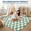 Soft Fluffy Large Rugs for Living Room Shaggy Area Rug - 4 of 4