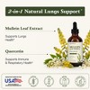 Sandhu's Mullein Drops for Lungs, Mullein Leaf Extract Supplement, Immune & Respiratory Health Support, Alcohol Free, Natural Herbal Tincture,4 Fl Oz - 2 of 4