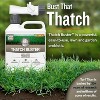 Turf Titan Root Booster and Thatch Buster - Made in USA - 2 of 4