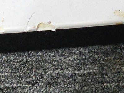 Guest review image 1 of 1, zoom in