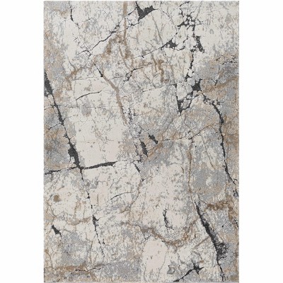 Hauteloom Cavetown Gray Marble Thick Rug