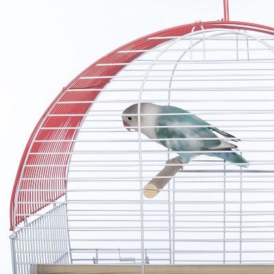 Coral and White Dome Top Bird Cage with Wooden Perches