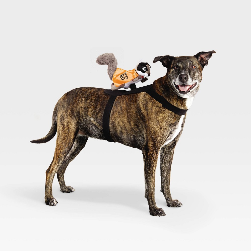 Rider Wings Halloween Superhero Squirrel Dog Costume - L/XL - Hyde & EEK! Boutique™