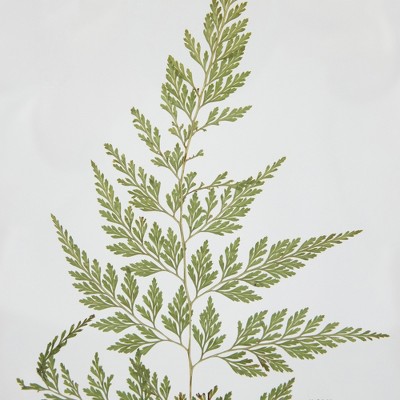Natural Wood Framed Artificial Fern Leaf Wall Art, 11.75"