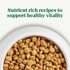 Nutro Natural Choice Chicken, Vegetable and Rice Flavor Puppy Dry Dog Food - 13lbs - 2 of 4