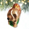 Exotic Safari Lion Glass Christmas Ornament| OrnamentallyYou - 4 of 4