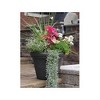 Tusco Products Plastic Rolled Rim Planter - 2 of 3