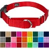 Country Brook Petz Heavy Duty Nylon Martingale Dog Collar with Deluxe Buckle - 30+ Vibrant Color Options - 2 of 4