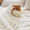 Bedsure White Throw Fleece Blanket for Couch, Super Soft Cute Small Throws for Girls, 50x60 inches, Wider Striped Design - 4 of 4