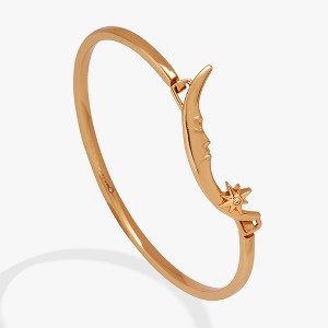 Alex and Ani Crescent Moon Tension Bangle - 1 of 3