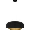 Frankie 4-Light Matte Black Pendant - 4 of 4
