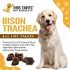 Dog Chits Bison Trachea for Dogs | Amazing for Joints | Made in USA | All-Natural Treats | Large and Small Breeds | Nothing Added | Zero Odor - 2 of 4
