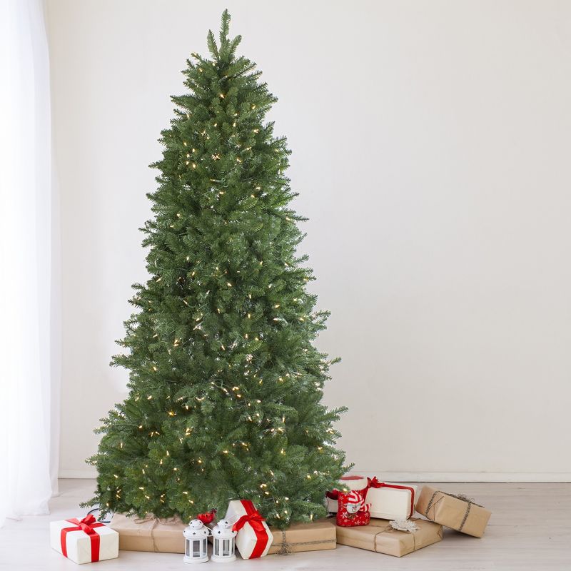 Northlight 9' Prelit Artificial Christmas Tree LED Instant Connect Neola Fraser Fir - Dual Lights, 3 of 9
