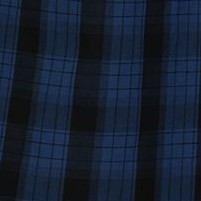 294 - blue / black