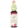 Bach Original Flower Remedies, Pine, 0.35 fl oz (10 ml) - 3 of 4