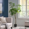 Gulches 63 Inch Artificial Lucky Money Tree Plants, Pre - Potted Plant, Ideal for Indoor Gardens, Living Rooms and Bedrooms - 2 of 4