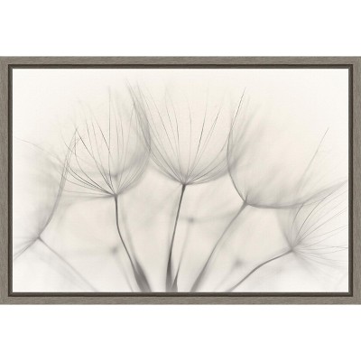 Amanti Art Floral Wisps by Jakob Arnholtz Canvas Wall Art Print Framed 23 x 16-in.