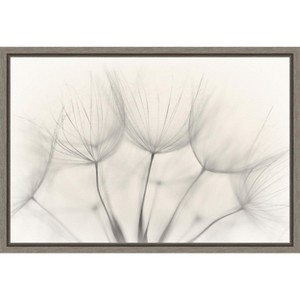 Amanti Art Floral Wisps by Jakob Arnholtz Canvas Wall Art Print Framed 23 x 16-in. - 1 of 4