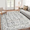 Area Rug - Large Non-Slip Stain Resistant Low Pile Rug Pet Child Friendly for Living Room, Bedroom Dining Room - 2 of 4