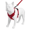 Voyager Step-In Lock Adjustable Dog & Cat Harness and 5ft Leash Combo - 4 of 4
