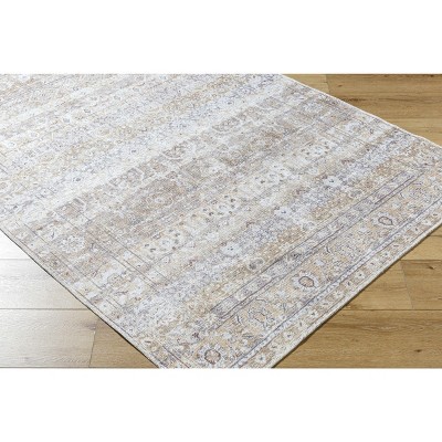 Hauteloom Tywin Living Room, Bedroom Machine Washable Area Rug - Traditional