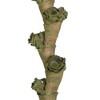 Vickerman Ladder Branches, Dried - 2 of 4