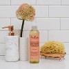 SheaMoisture Coconut and Hibiscus Bath Body and Massage Oil - 8 fl oz - 2 of 4