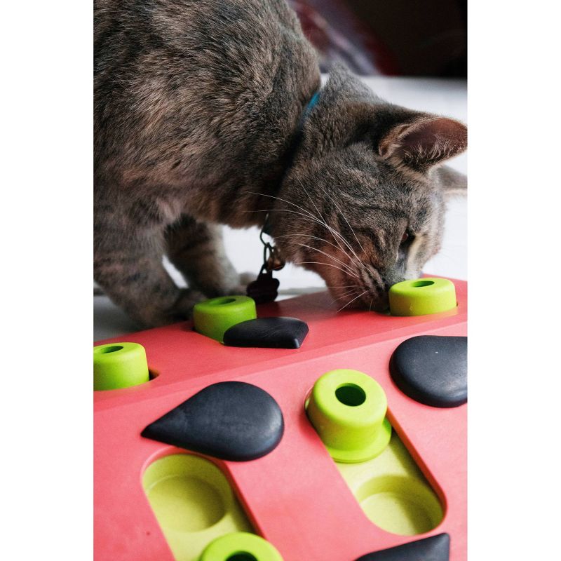 Petstages Nina Ottosson Melon Madness Interactive Treat Puzzle Cat Toy, 4 of 8