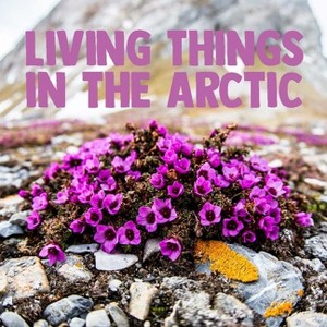 Living Things in the Arctic - (Nunavummi Reading) by  Arvaaq Press (Paperback) - 1 of 1