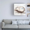 Trademark Fine Art -Ethan Harper 'Oyster Study II' Canvas Art - 3 of 4