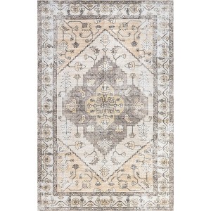 Nuloom Autumn Vintage Pet Friendly Machine Washable Area Rug, 4' x 6', Grey - 1 of 4