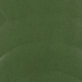 moss green