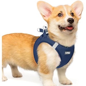 rabbitgoo Small Dog Harness, Step-in Soft Mesh Reflective Pet Harness for Small Medium Dogs, Navy Blue L - 1 of 1