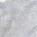 grey/beige