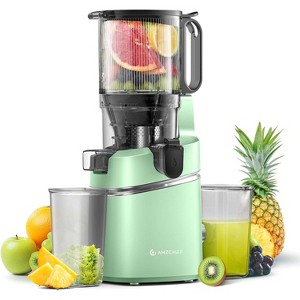 Masticating  Juicer, 5.3 in Cold Press Juicer with 250W Motor, Triple Filtration, Safety Lid Lock, 1.8 L Capacity, Fit for Whole Fruits & Vegetables - 1 of 4