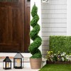 Northlight Potted Two Toned Artificial Spiral Boxwood Garden Topiary Tree - 5' - 2 of 4