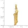Black Bow Jewelry 14k Yellow Gold 3D Torah with Star of David Pendant, 8 x 30mm - 3 of 4