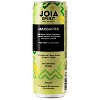 Joia Spirit Sparkling Margarita Cocktail - 355ml Can - 2 of 2
