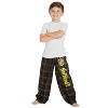 Intimo Harry Potter Boys Houses Plaid Pajama Lounge Pants - 2 of 4