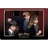 Trends International Harry Potter and the Sorcerer's Stone - Group Unframed Wall Poster Prints - 4 of 4
