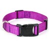 Country Brook Petz Everyday Nylon Dog Collar - 4 of 4
