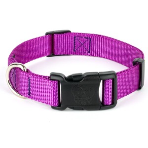 Country Brook Petz American Made Deluxe Nylon Dog Collar - 1 of 4
