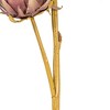 Vickerman 26" Protea Stem 2/Bag - 3 of 4