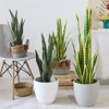 Artificial Snake Plant in Pot, Realistic Faux Sansevieria for Home Office Decor, Durable Low Maintenance Indoor Greenery - 3 of 4