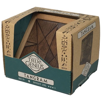 Project Genius: Just Teasing Tangram