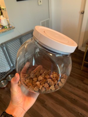 OXO POP 3qt Airtight Cookie Jar