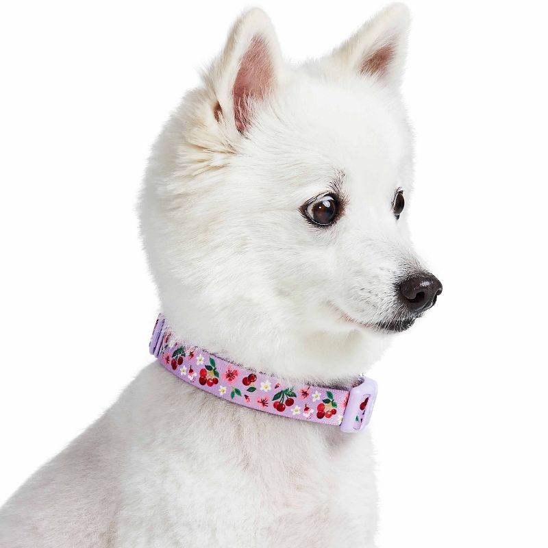 Blueberry Pet Cherry Garden Dog Collar with Dainty Flowers, 4 of 6