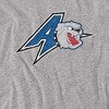 Campus Lab University of North Carolina Asheville Official Distressed Primary Logo Adult T Shirt - 2 of 4